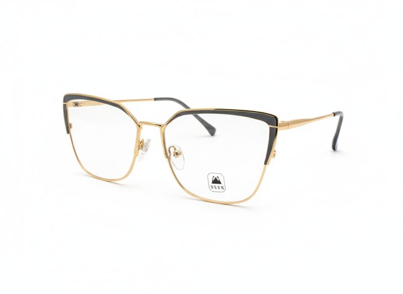 MONTURA DE METAL CON PLAQUETAS